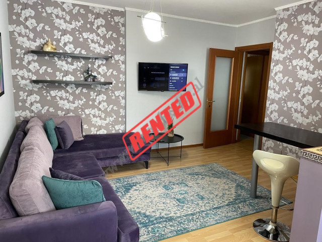 Two bedroom apartment for rent in Tirana, close to Air Albania Stadium, Albania (TRR-1015-19b)